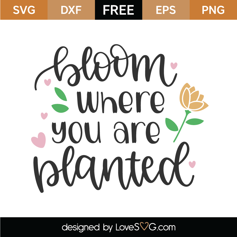 Free Bloom Where You Are Planted Svg Cut File