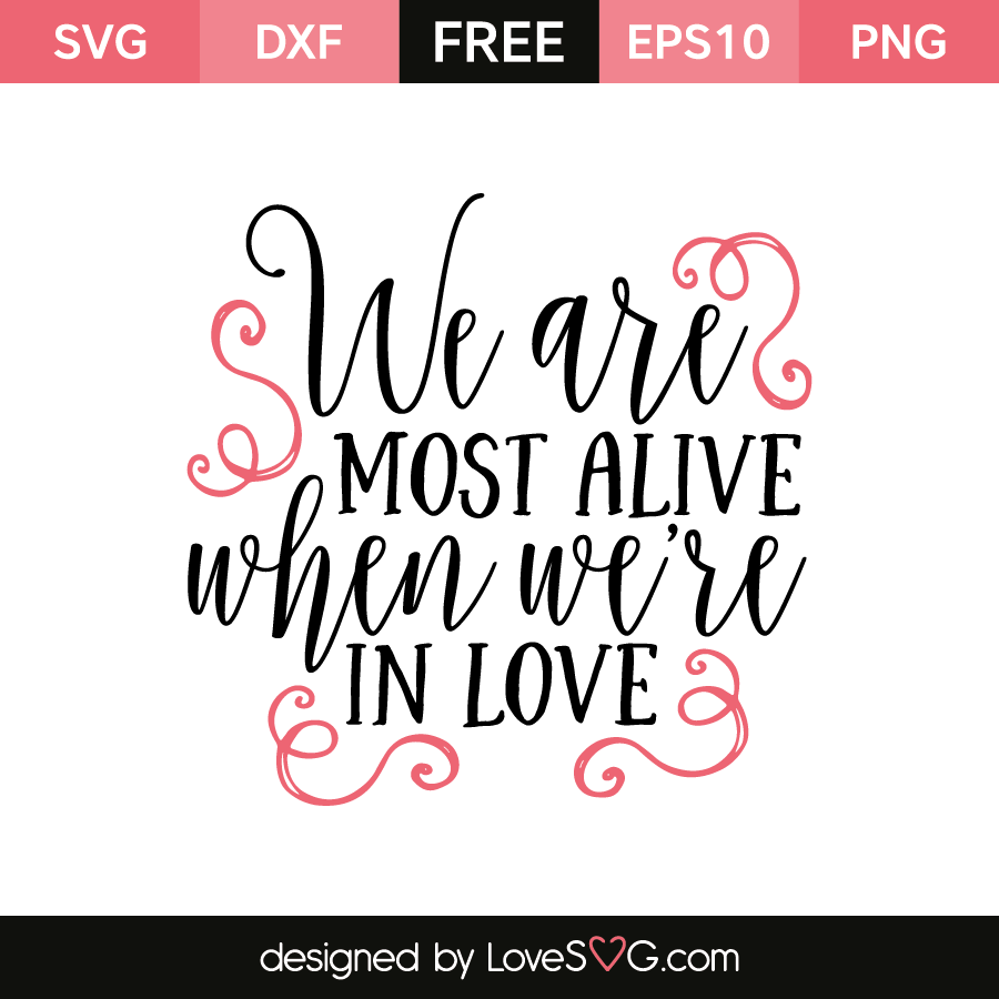 download live love for free