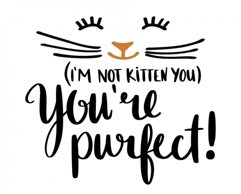 Free SVG cut file - I'm not kitten you You're Purfect