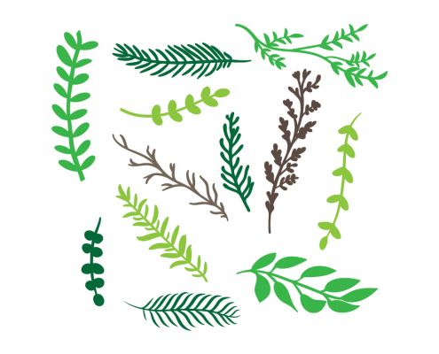 Free SVG cut file - 2001 - Hand Drawn Branches
