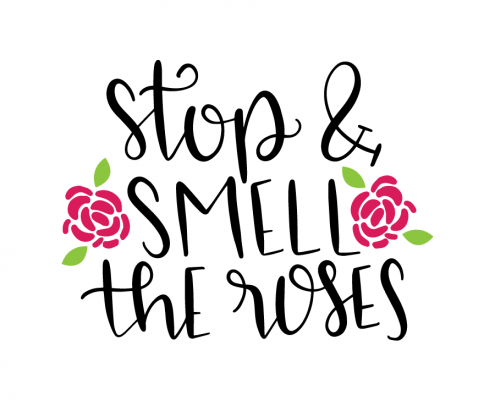 Free SVG cut files - Stop & smell the roses