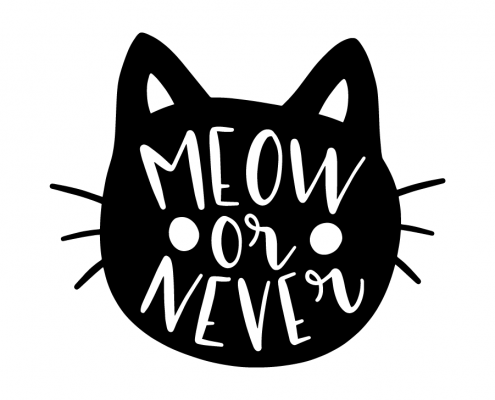 Free SVG cut file - Meow or never