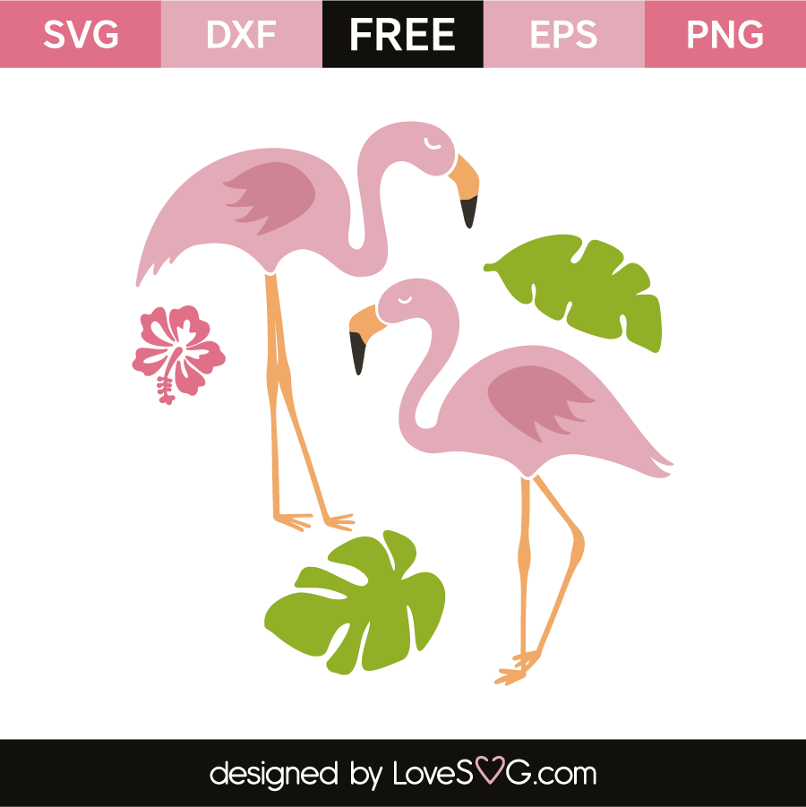 Download Flamingos | Lovesvg.com
