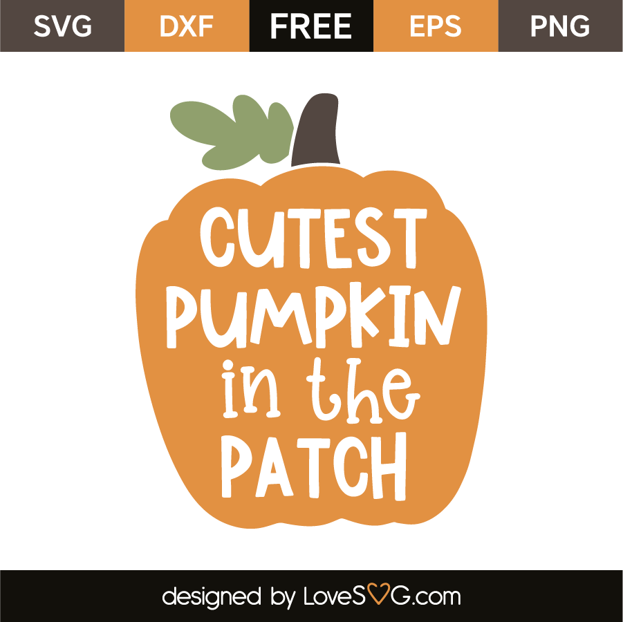 Download Cutest pumpkin in the patch | Lovesvg.com