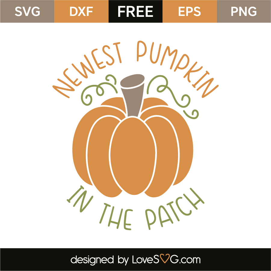 Download Newest pumpkin in the patch | Lovesvg.com