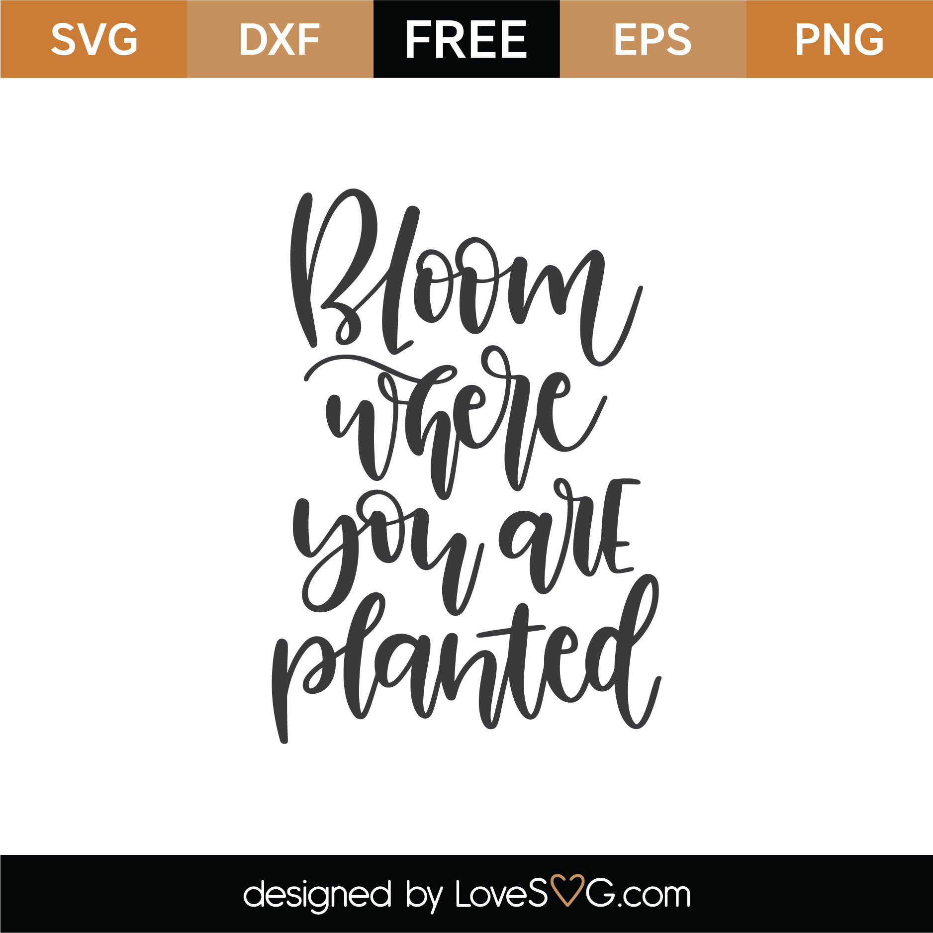 Free Bloom Where You Are Planted SVG Cut File | Lovesvg.com