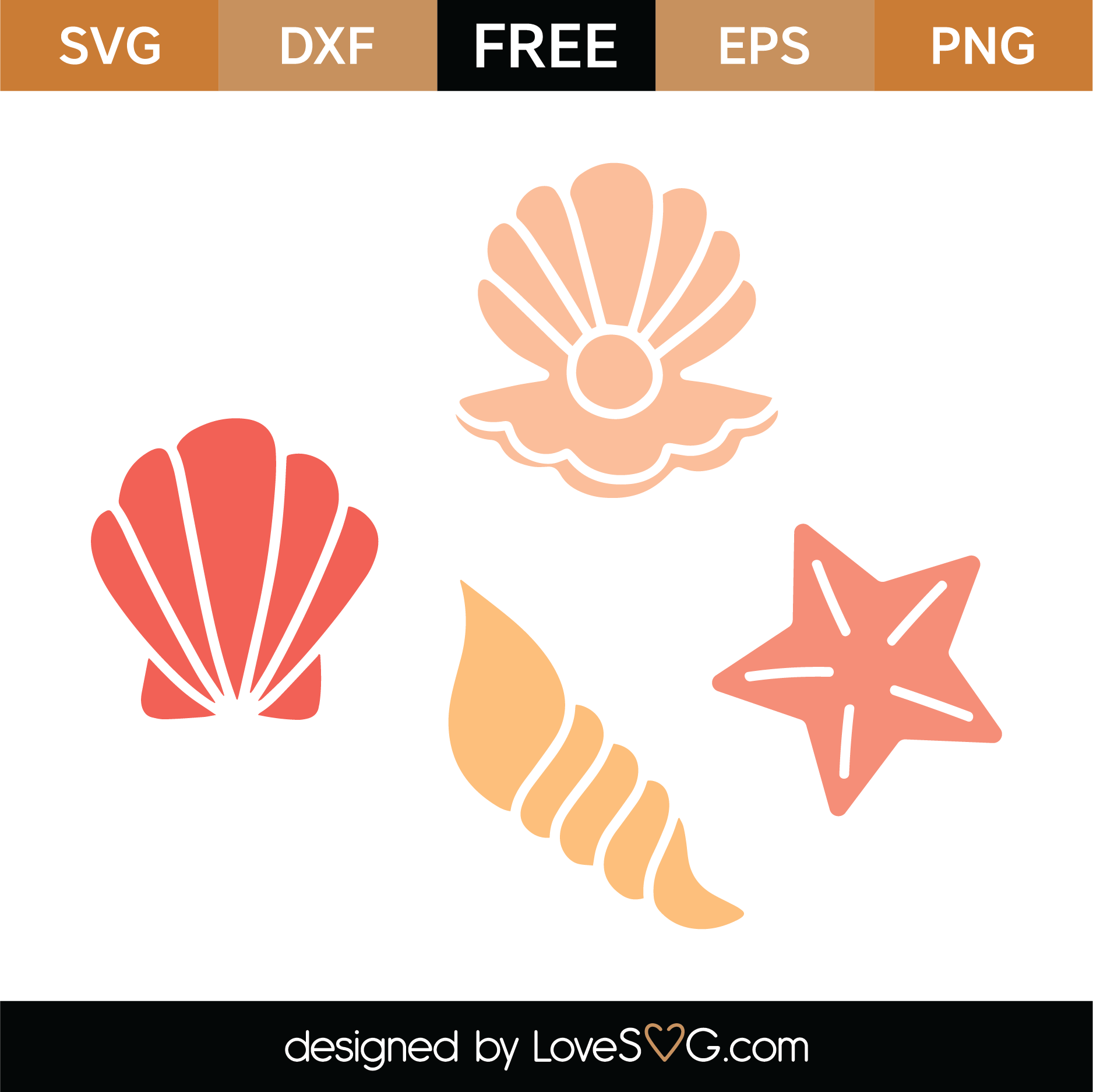 Free Sea Shells SVG Cut File | Lovesvg.com