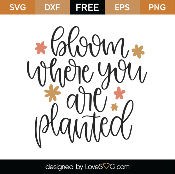 Free Bloom Where You Are Planted SVG Cut File - Lovesvg.com