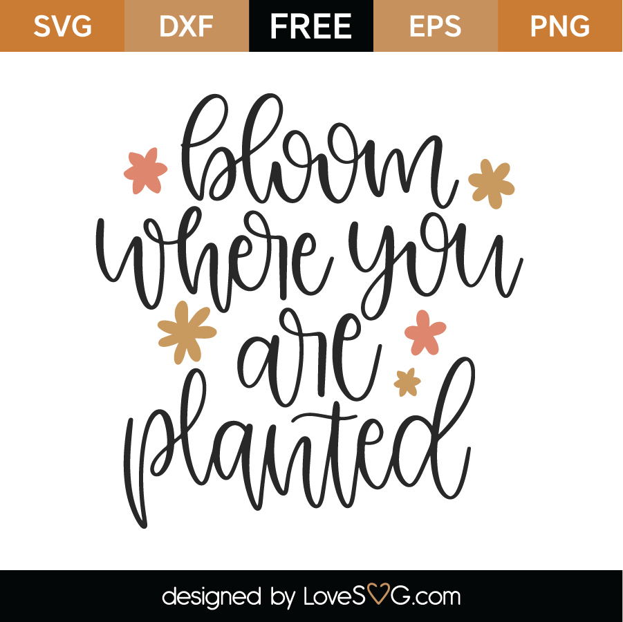 Free Bloom Where You Are Planted SVG Cut File - Lovesvg.com
