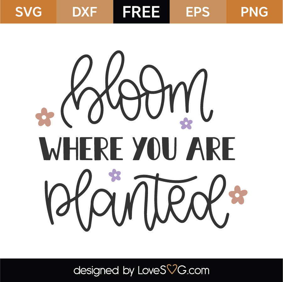 Free Bloom Where You Are Planted SVG Cut File - Lovesvg.com