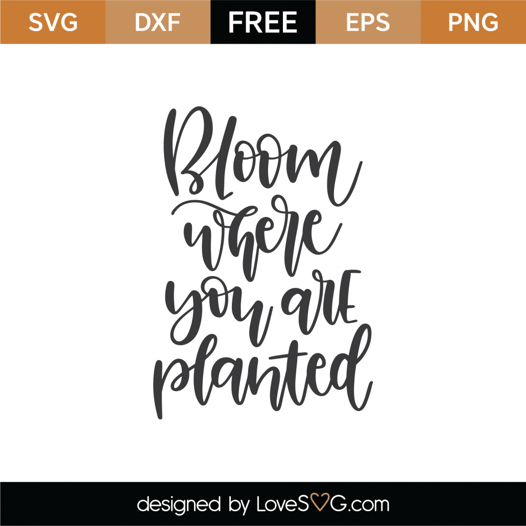 Free Bloom Where You Are Planted SVG Cut File - Lovesvg.com