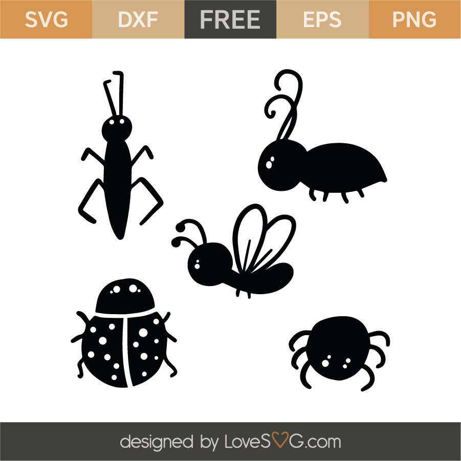 Download Bugs Ant Fly Ladybug Spider Lovesvg Com
