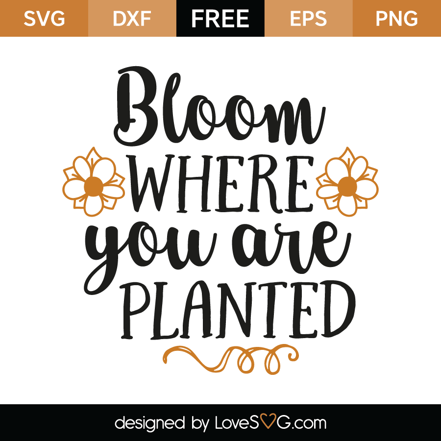 Bloom Where You Are Planted - Lovesvg.com