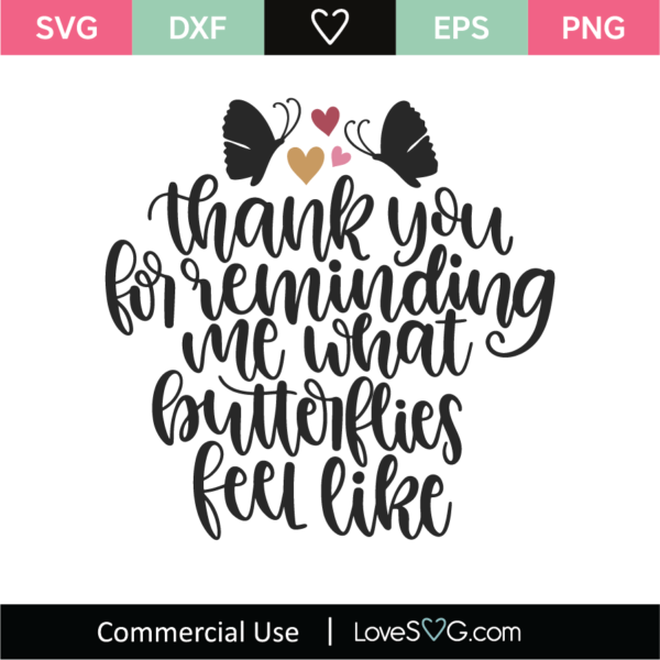 Thank You For Reminding Me What Butterflies Feel Like SVG Cut File
