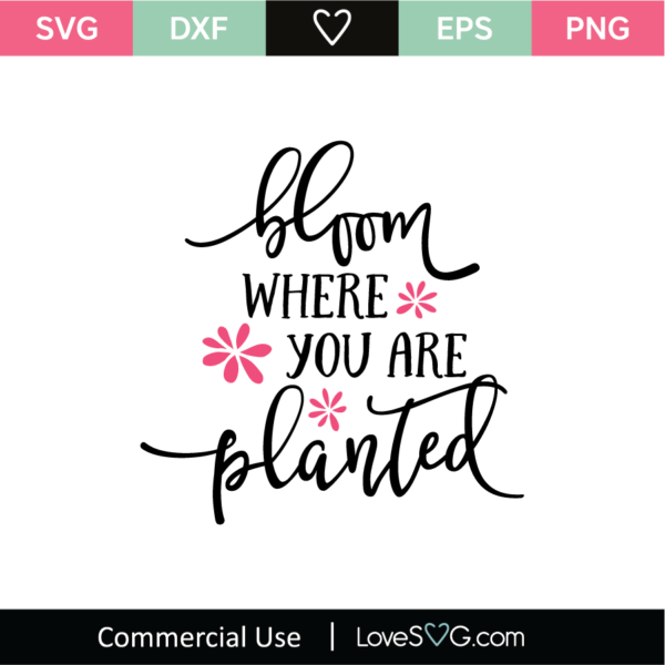 Bloom Where You Are Planted SVG Cut File - Lovesvg.com