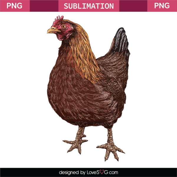 Chicken Sublimation File