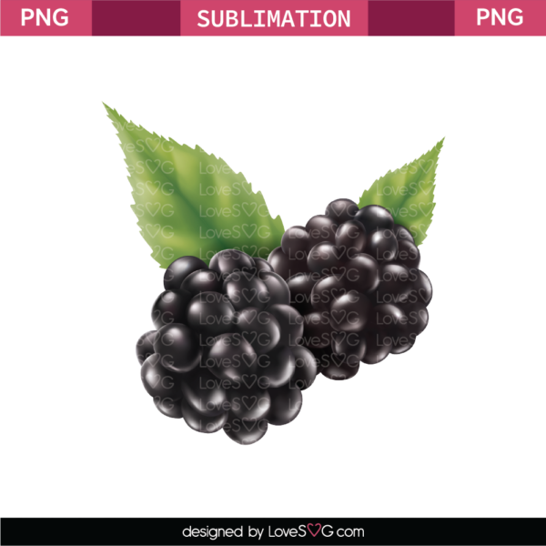 Grape Sublimation File.png - Lovesvg.com