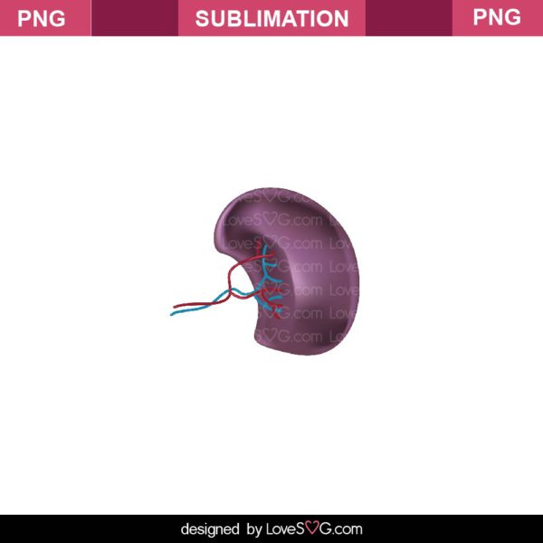 Kidney Sublimation File - Lovesvg.com